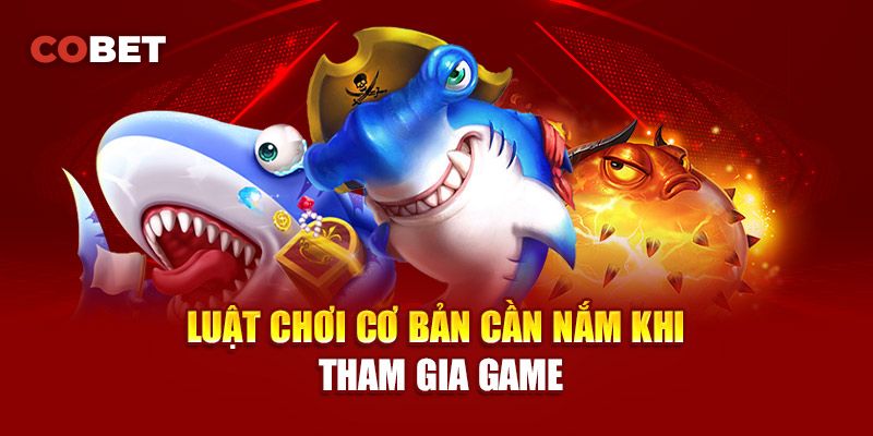 Bắn cá COBET chia nhiều cấp độ phòng chơi cho người mới và cao thủ