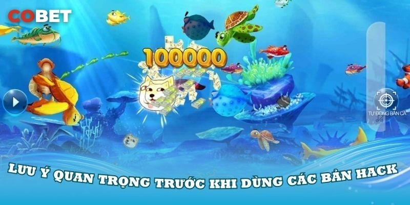 Hệ thống chống hack của Cobet
