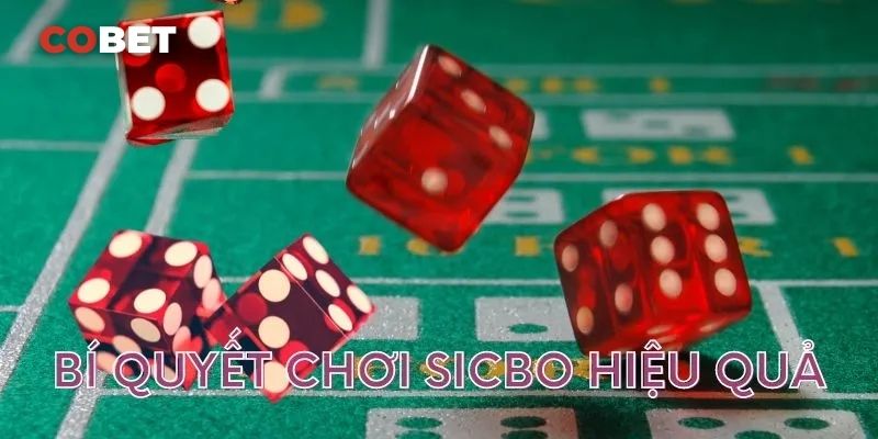 So Sánh Luật Chơi Tài Xỉu Cobet Với Các Loại Hình Tài Xỉu Khác