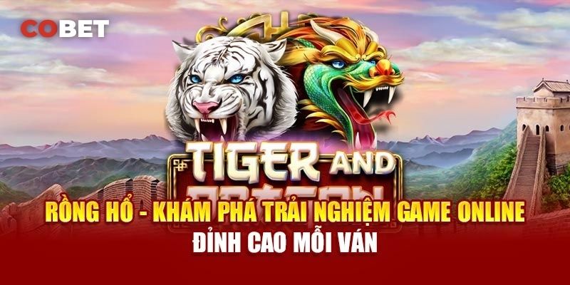 Tổng Quan và Giới Thiệu Chi Tiết